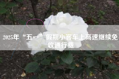 2025年“五一”假期小客车上高速继续免收通行费